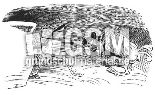 Hahnenkampf sw 08.jpg